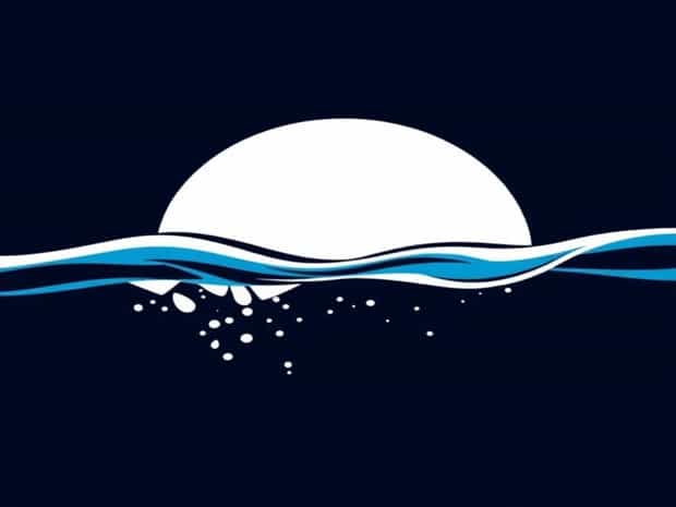 Israel And Stewart Hydrodynamics