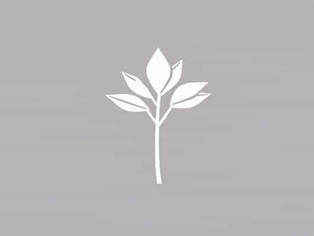J Michaels Oleander Drive
