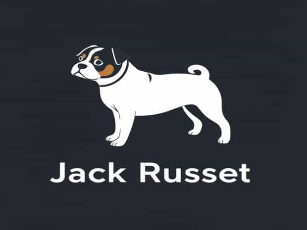 Jack Russell Cross Pug