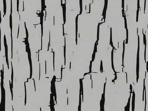 James Hardie ? Timber Bark