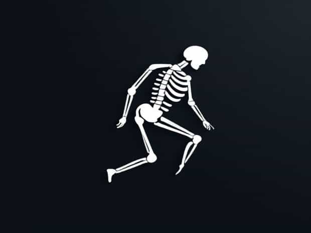 Joint Structure Affects Flexibility In What Way