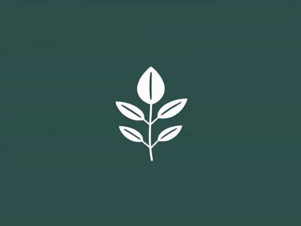 Momentous Absolute Zero Plant Based