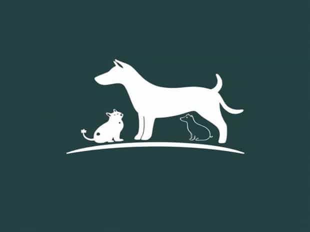 Mspca At Nevins Farm Adoption