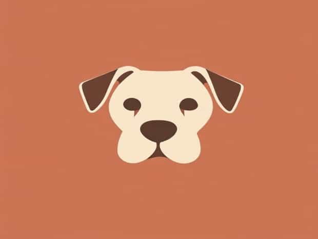 Other Words For Dogmatism