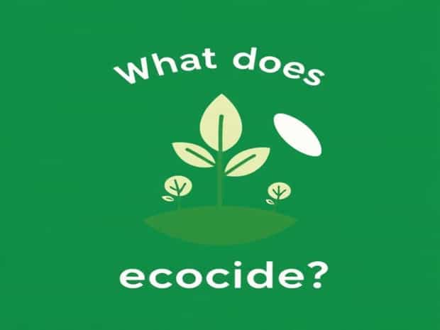 What Does Ecocide Mean