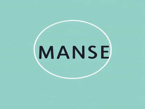 What Does Manse Mean