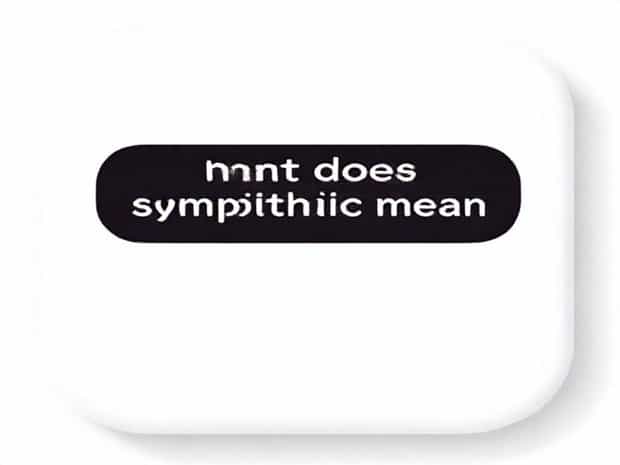 What Does Sympathetic Mean