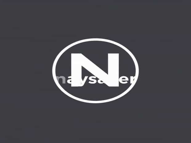 What Does The Word Naysayer Mean?
