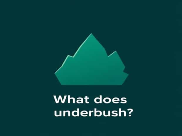 What Does Underbrush Mean