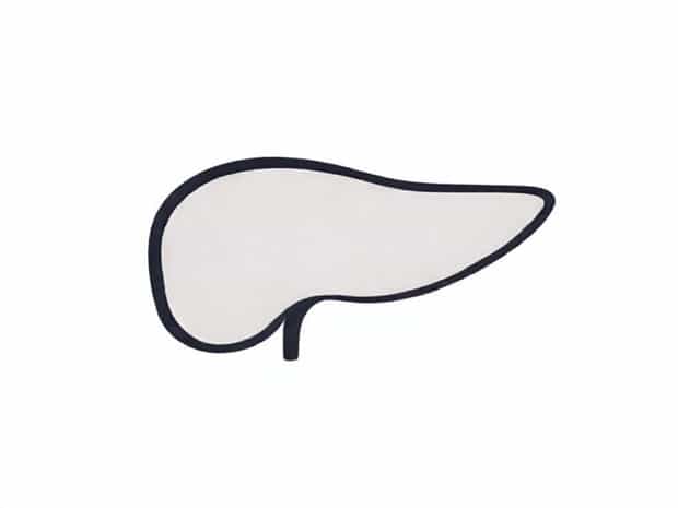 A Diagram Of A Liver Fluke