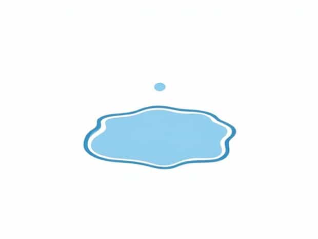 A Puddle Of Water Meaning