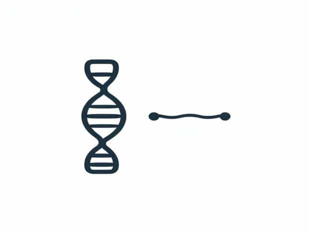 Adenine Guanine Hypoxanthine Xanthine