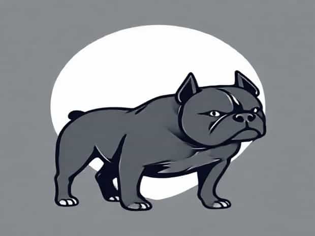 American Bully For Sale