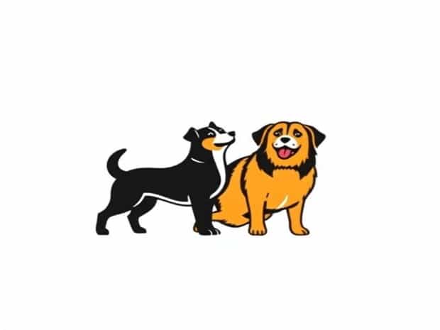 Barking Dogs Seldom Bite