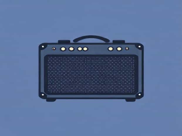 Best Budget Bass Amp For Gigging