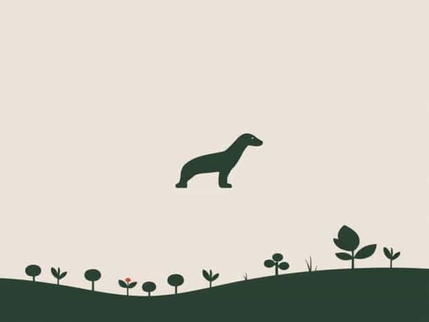 Biodiversity Is A Consequence Of