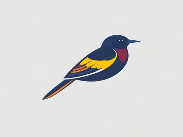 Bird With Multicolored Feathers