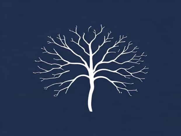 Branches Of Ophthalmic Nerve