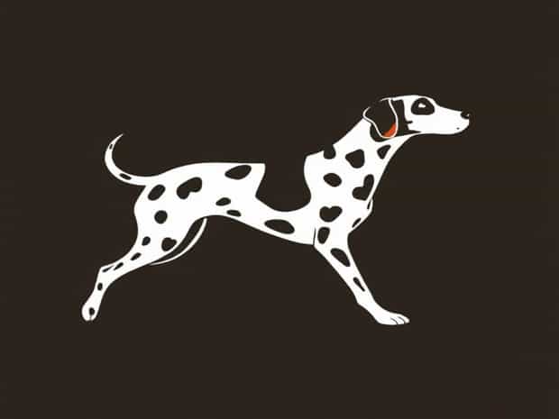 Brindle Treeing Walker Coonhound