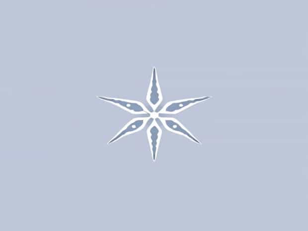 Brittle Star Echinoderm Class