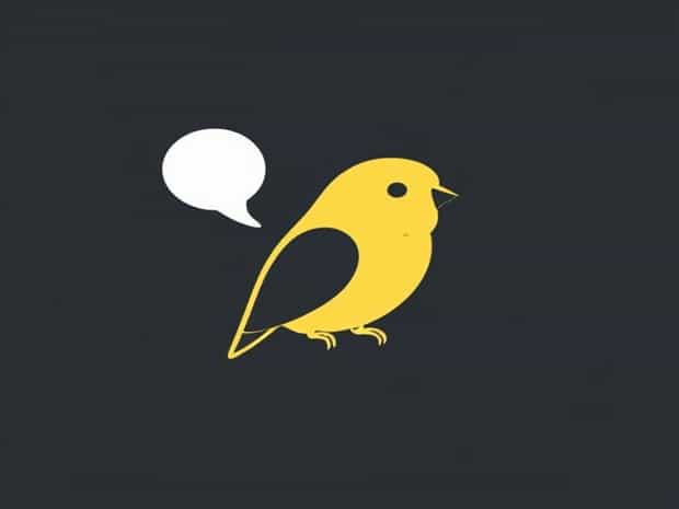 Can A Budgie Talk