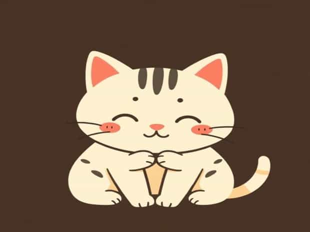 Cat Is Very Affectionate