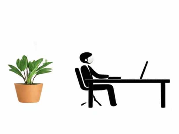 Fired For Unprofessional Behavior