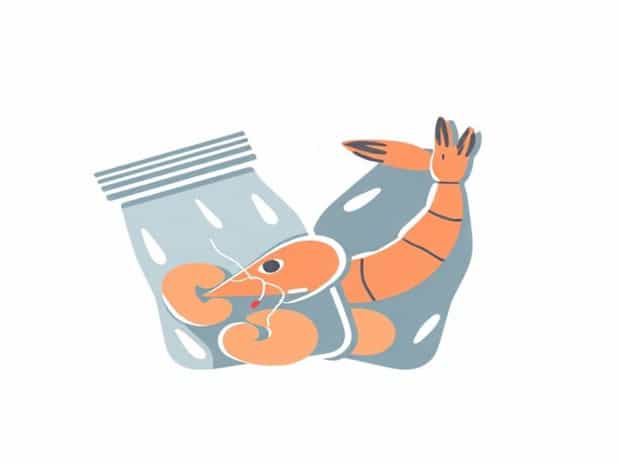 Freezing Shrimp In Ziploc Bags