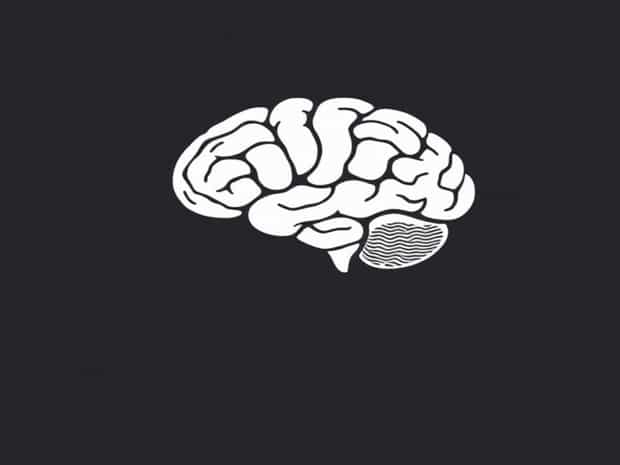 From Superficial To Deep:What Are The Three Layers Of Meninges?