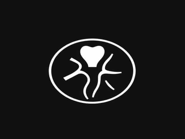 Function Of Seminal Vesicle And Prostate Gland