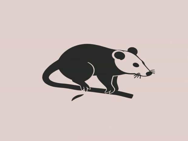 How Harmful Are Possums