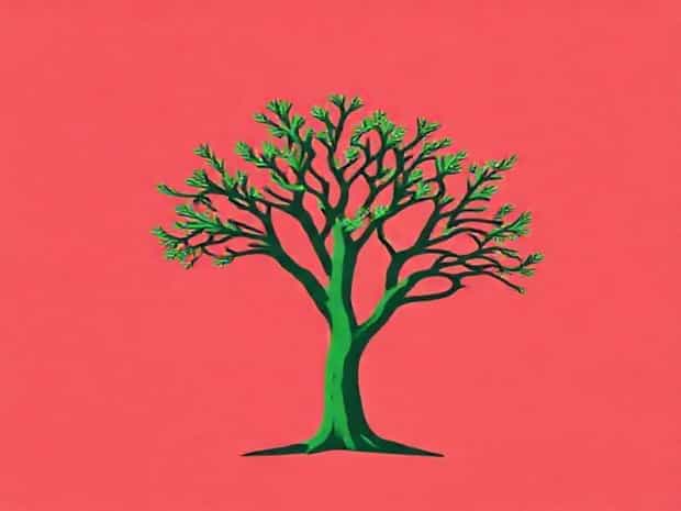 How Poisonous Are Yew Trees