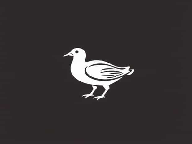 How To Cook Squab