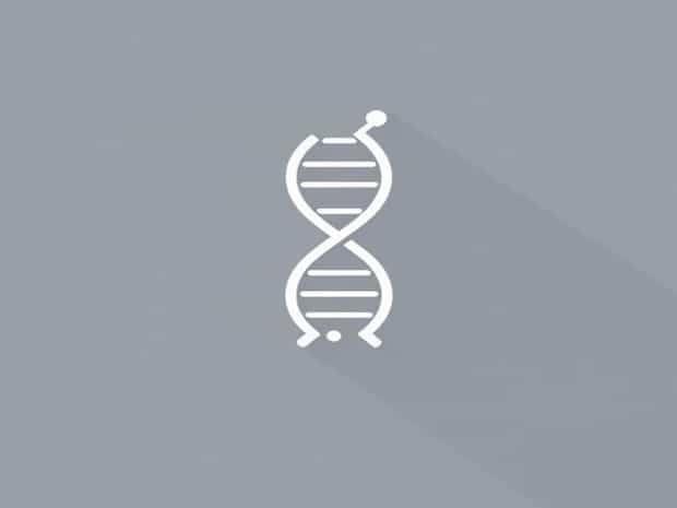 How To Quantify Dna