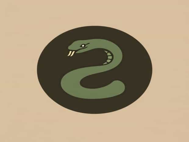 How To Use Snakeyrain