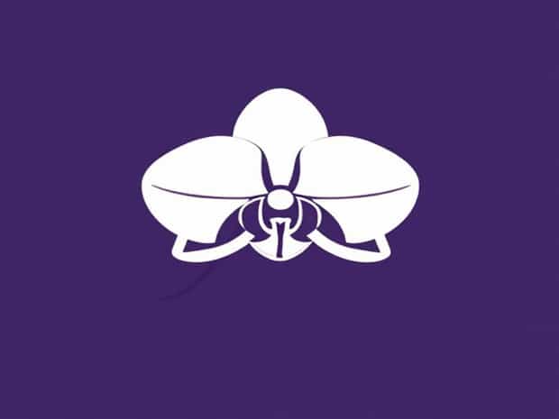 Is An Orchid A Flower