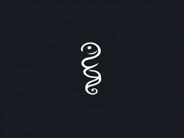 Is It Helices Or Helixes