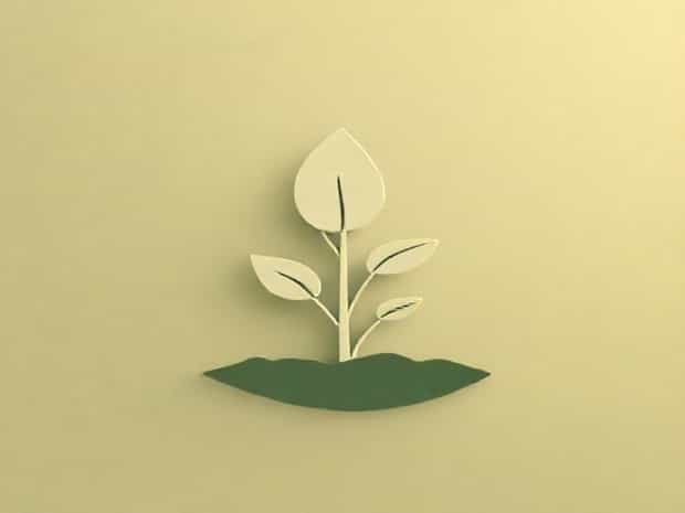 Is Layering A Vegetative Propagation