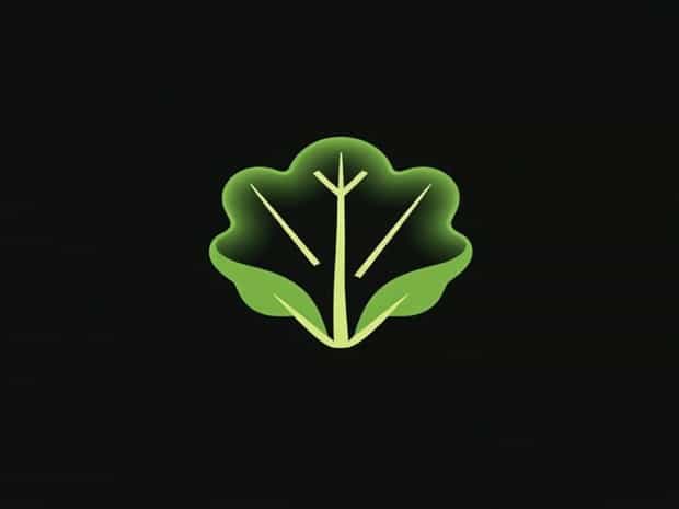 Is Lettuce A Leaf