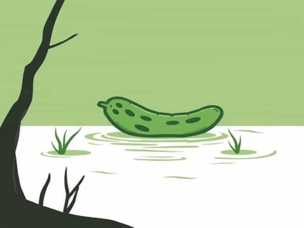 Is Pickle On Swamp People?