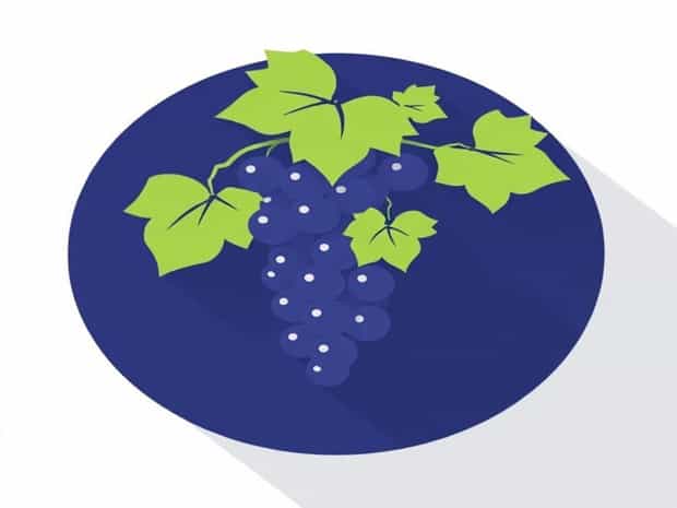 Is The Grapevine Open?