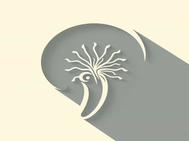Is The Organ Of Corti In The Cochlea?