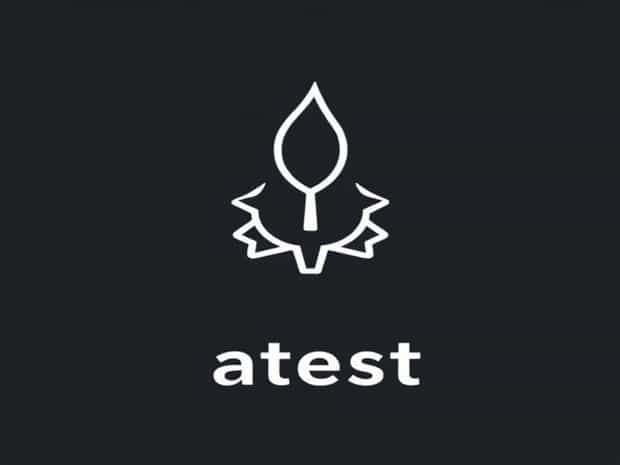 Meaning Of Attest In Hindi