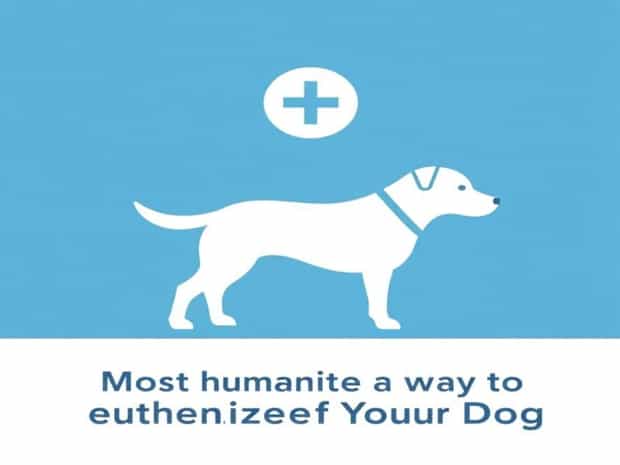 Most Humane Way To Euthanize Your Dog