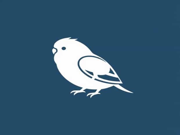 My Budgie Is Puffed Up