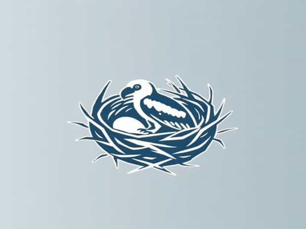 Nest For A Raptor
