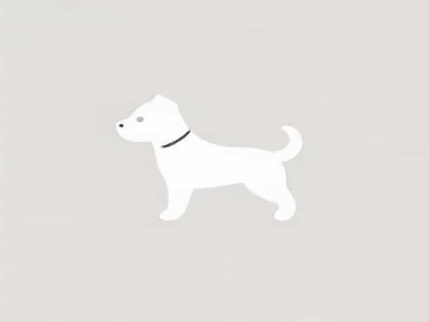 Other Words For Lapdog