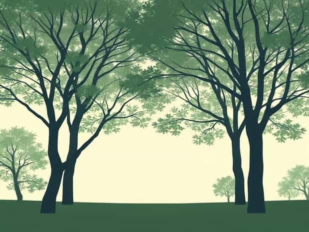 Under The Trees Where Nobody Sees