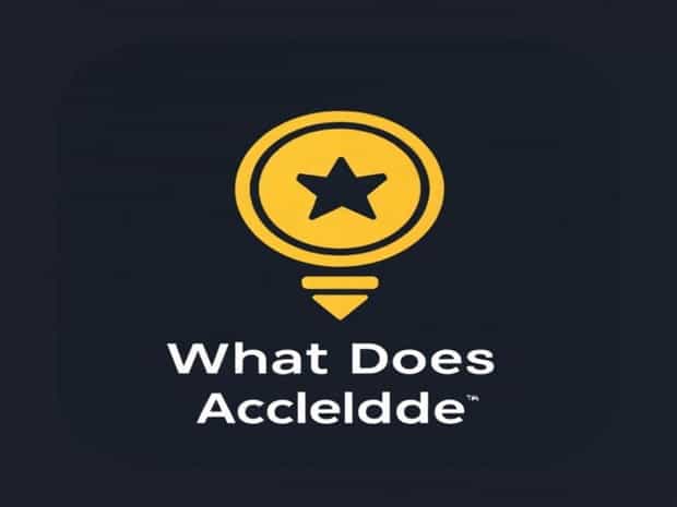 What Does Accolade Mean