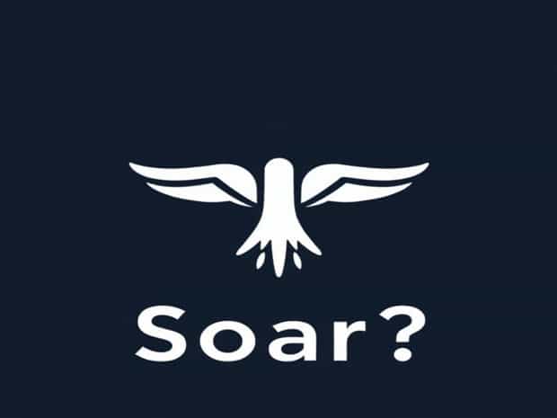 What Does Soar Mean